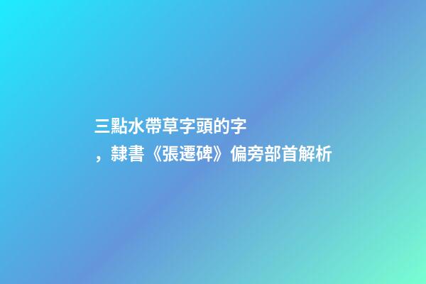 三點水帶草字頭的字，隸書《張遷碑》偏旁部首解析